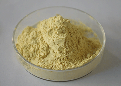 Gynostemma Pentaphyllum Extract