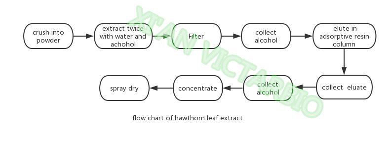 hawthorn leaf extract flowchart