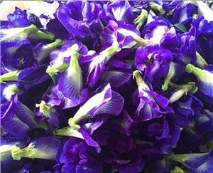 প্রজাপতি মটর ফুলের গুঁড়া