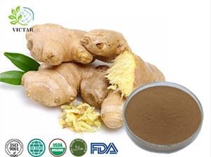 আদা নিষ্কাশন