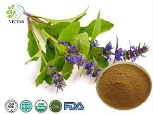 অজুগা তুর্কেস্তানিকা নির্যাস