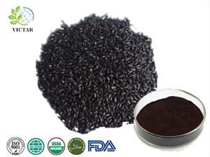 কালো চালের নির্যাস