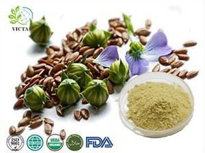 তিসি নির্যাস পাউডার