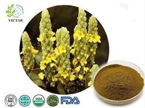 Mullein নির্যাস