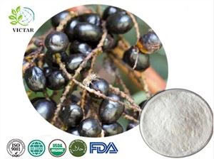 Palmetto নির্যাস দেখেছি
